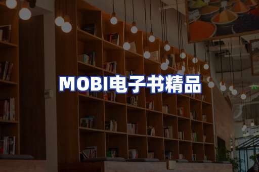 外文电子书产品